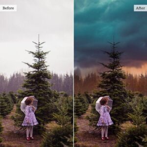 Sky Overlays Photoshop & More – Desktop & Mobile