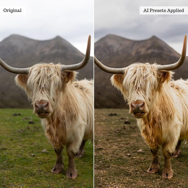 AI Retouch Toolkit for Landscape, Wildlife & Animal Photos