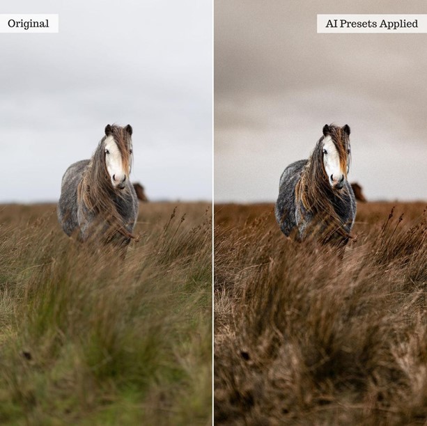 AI Retouch Toolkit for Landscape, Wildlife & Animal Photos - Image 3