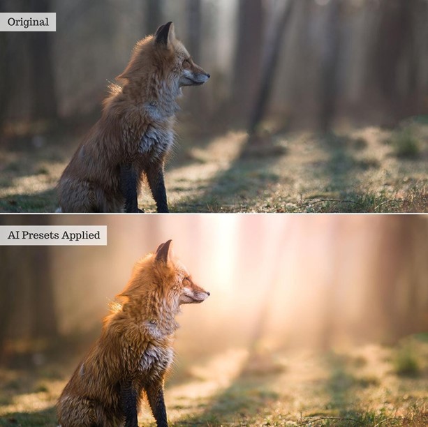 AI Retouch Toolkit for Landscape, Wildlife & Animal Photos - Image 5