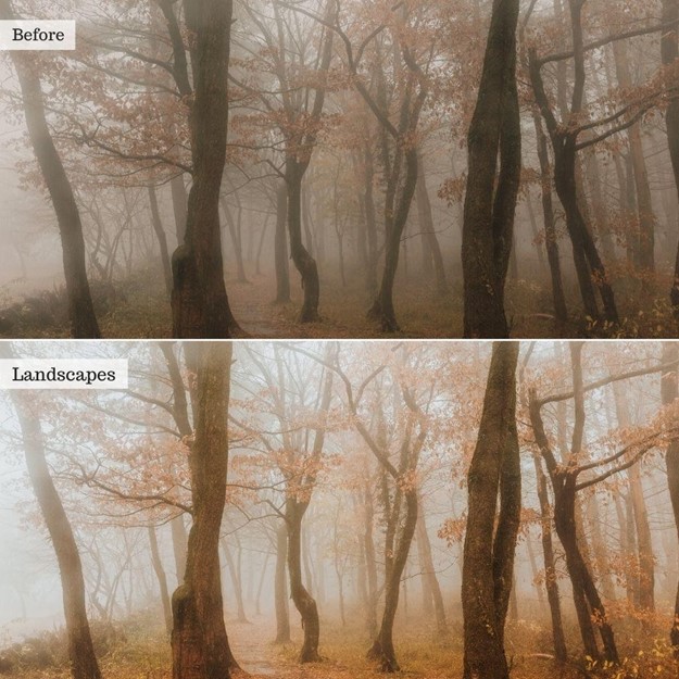 Landscapes Instagram Presets for Lightroom Mobile & Desktop - Image 5