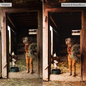 On the Farm 2.0 Lightroom Presets & AI Tools – Desktop & Mobile