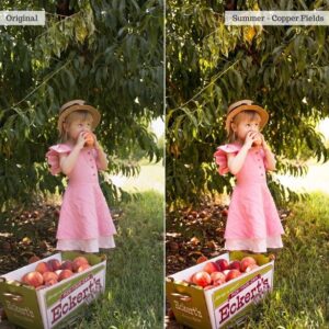 Essentials Lightroom Presets & AI Tools v2.0 – Desktop & Mobile