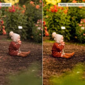 The Complete Luxe Editing Bundle – 8 Collections for Every Capture