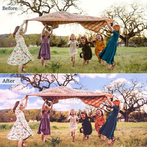 Royal Gardens - Single Color Palette Lightroom Presets & AI Tools - Image 3