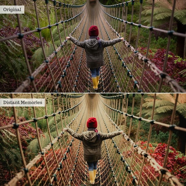 Earthy Moods 2.0 Lightroom Presets & AI Powered Tools – Desktop & Mobile - Image 3