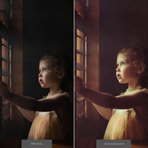 Stories Lightroom Presets – Desktop & Mobile