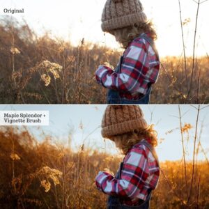 Touch of Tweed Autumn v2.0 – AI Lightroom Presets Desktop & Mobile