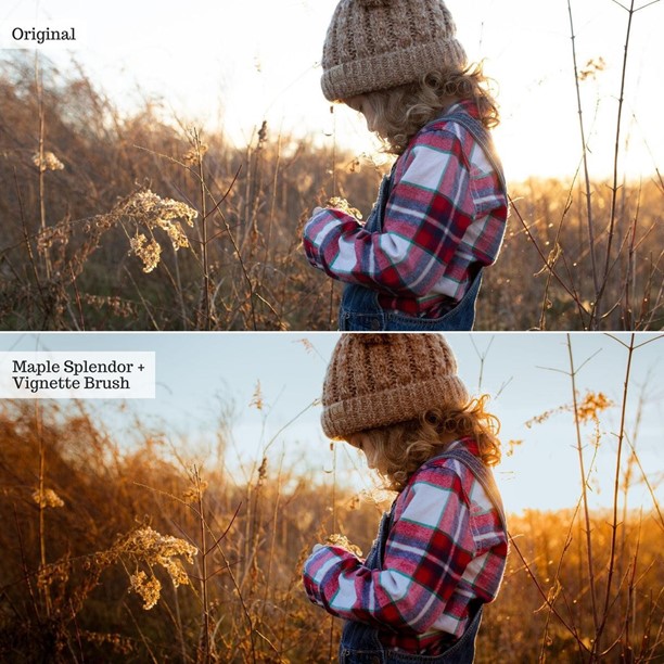 Touch of Tweed Autumn v2.0 – AI Lightroom Presets Desktop & Mobile