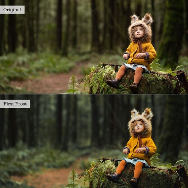 Touch of Tweed Autumn v2.0 – AI Lightroom Presets Desktop & Mobile - Image 2