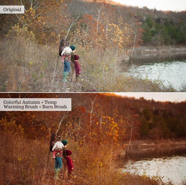 Touch of Tweed Autumn v2.0 – AI Lightroom Presets Desktop & Mobile - Image 3