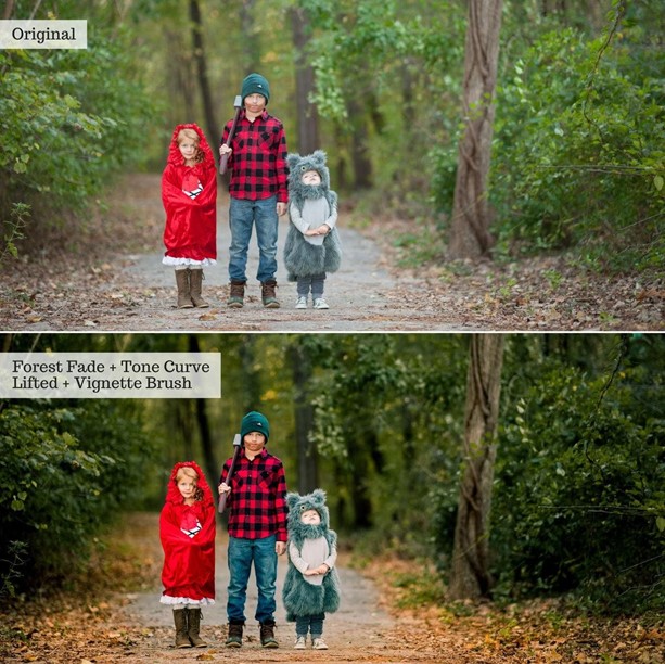 Touch of Tweed Autumn v2.0 – AI Lightroom Presets Desktop & Mobile - Image 4