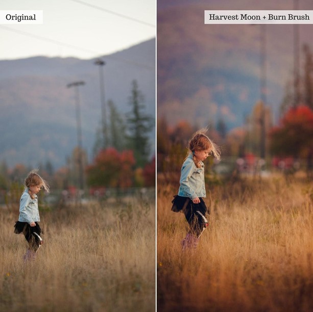 Touch of Tweed Autumn v2.0 – AI Lightroom Presets Desktop & Mobile - Image 5